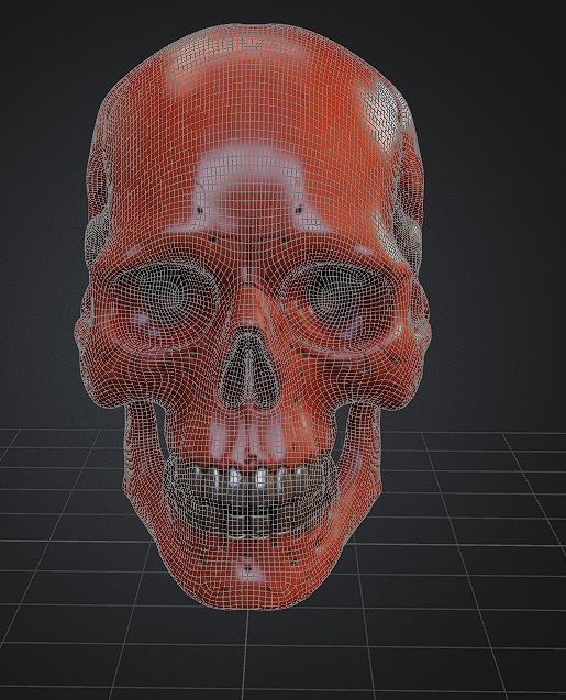 Realistic Robotic Skull and Meaty Horror Game Asset Low-poly 3D model_3