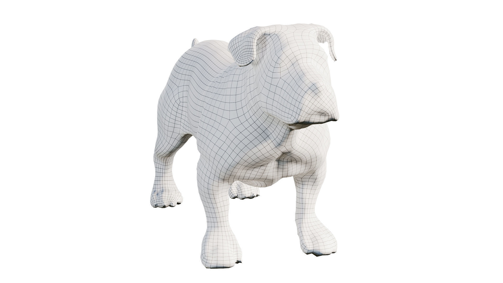 bulldog Low-poly 3D model_6