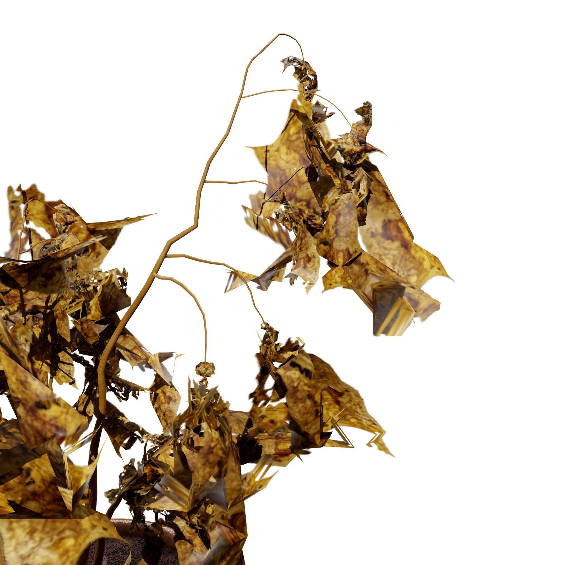 Dead Plant 3D Collection Low-poly 3D model_7