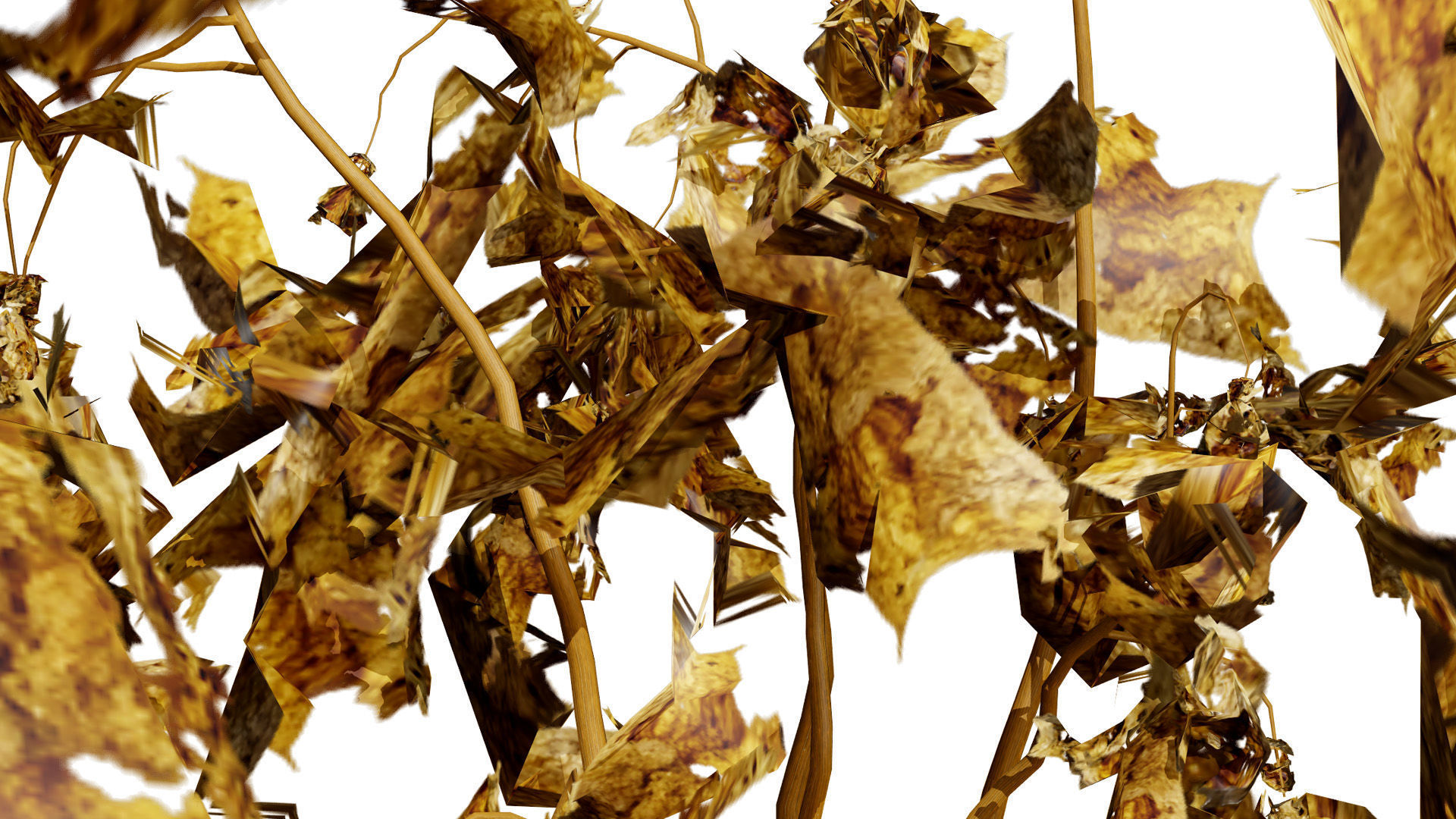 Dead Plant 3D Collection Low-poly 3D model_6