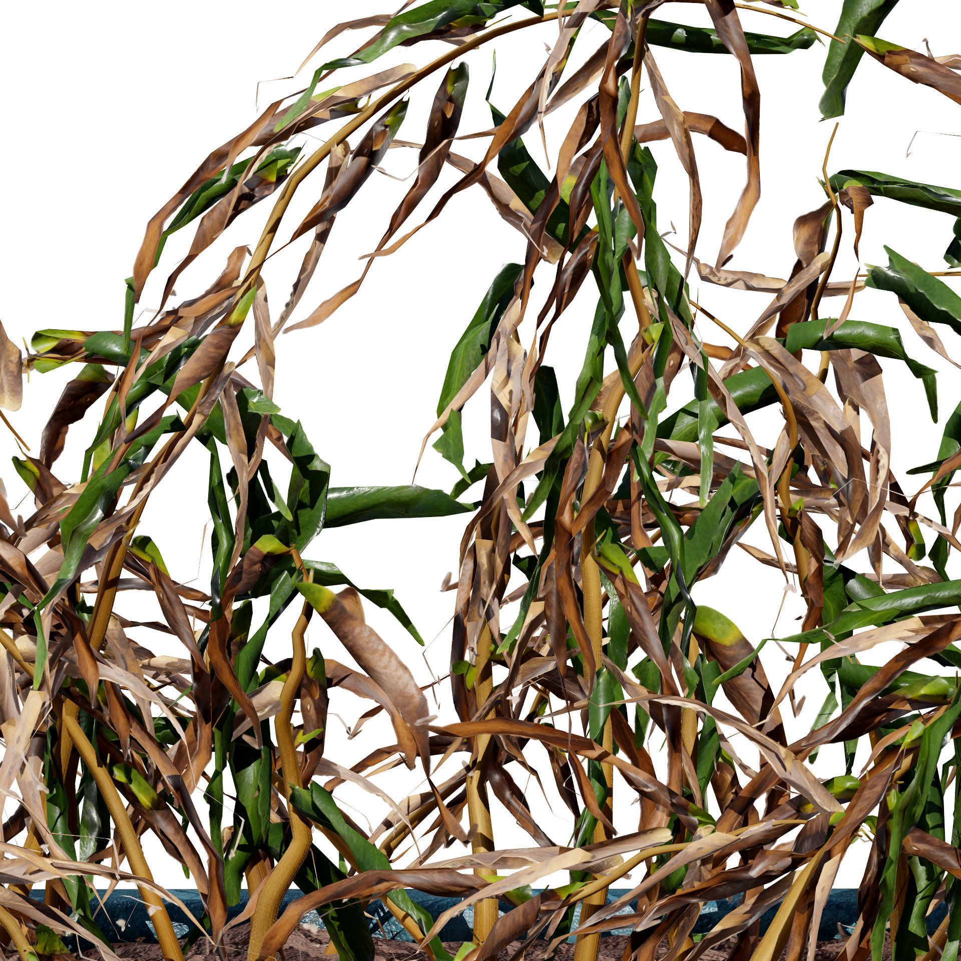 Dead Plant 3D Collection Low-poly 3D model_8