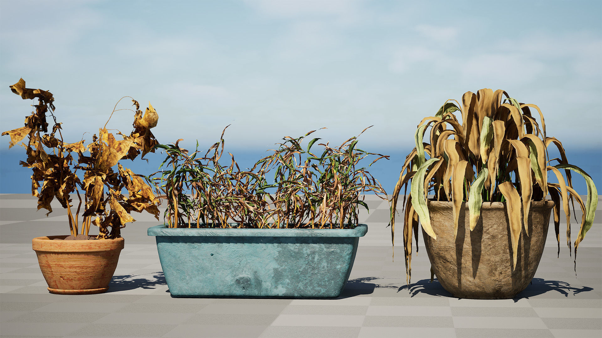 Dead Plant 3D Collection Low-poly 3D model_1