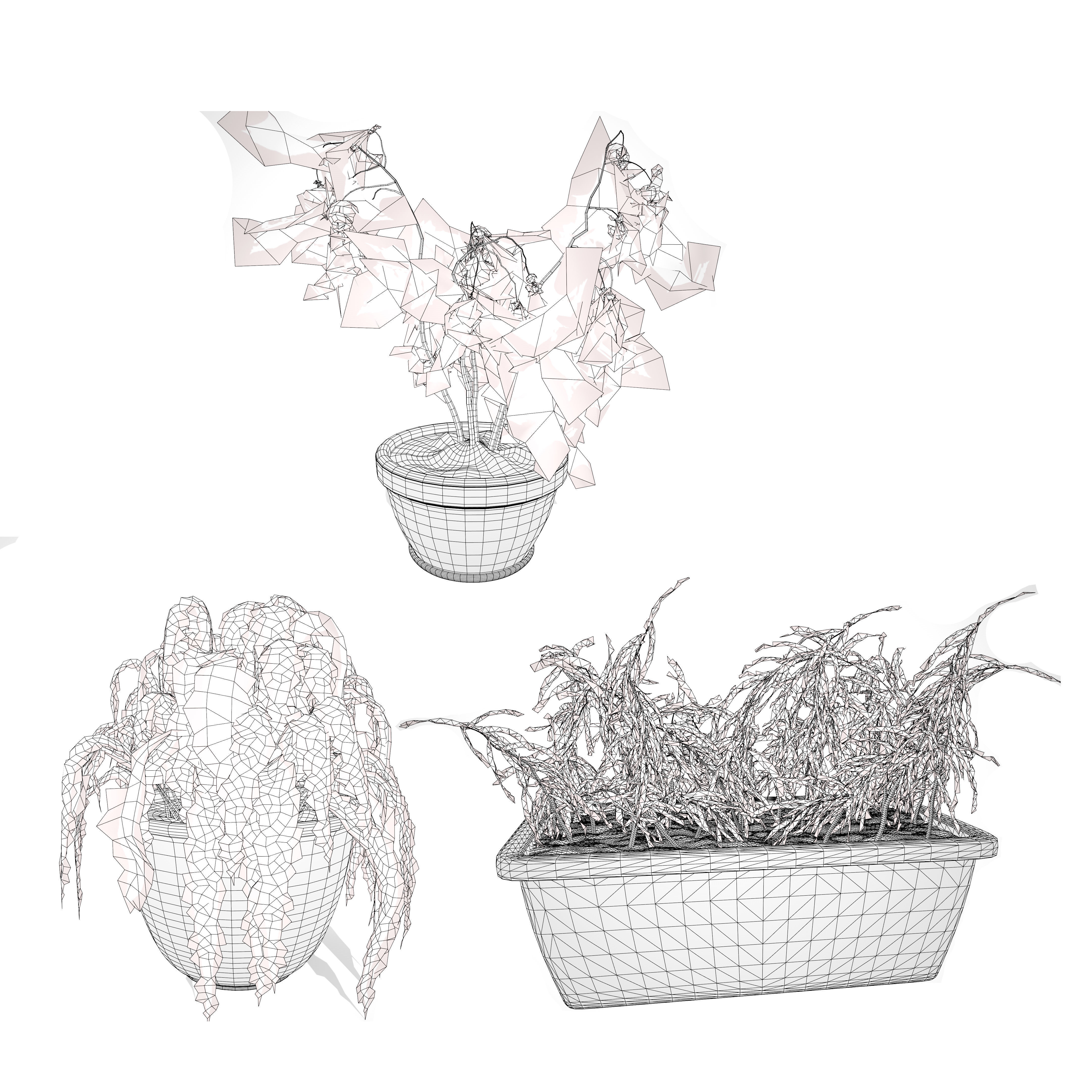 Dead Plant 3D Collection Low-poly 3D model_11