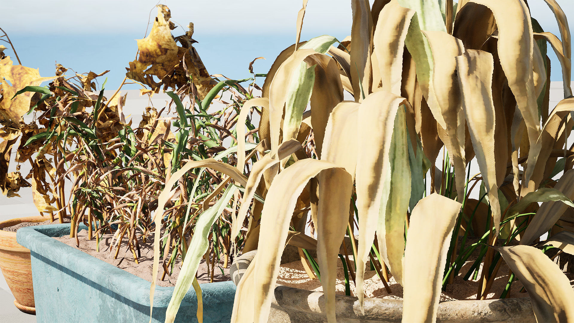 Dead Plant 3D Collection Low-poly 3D model_2