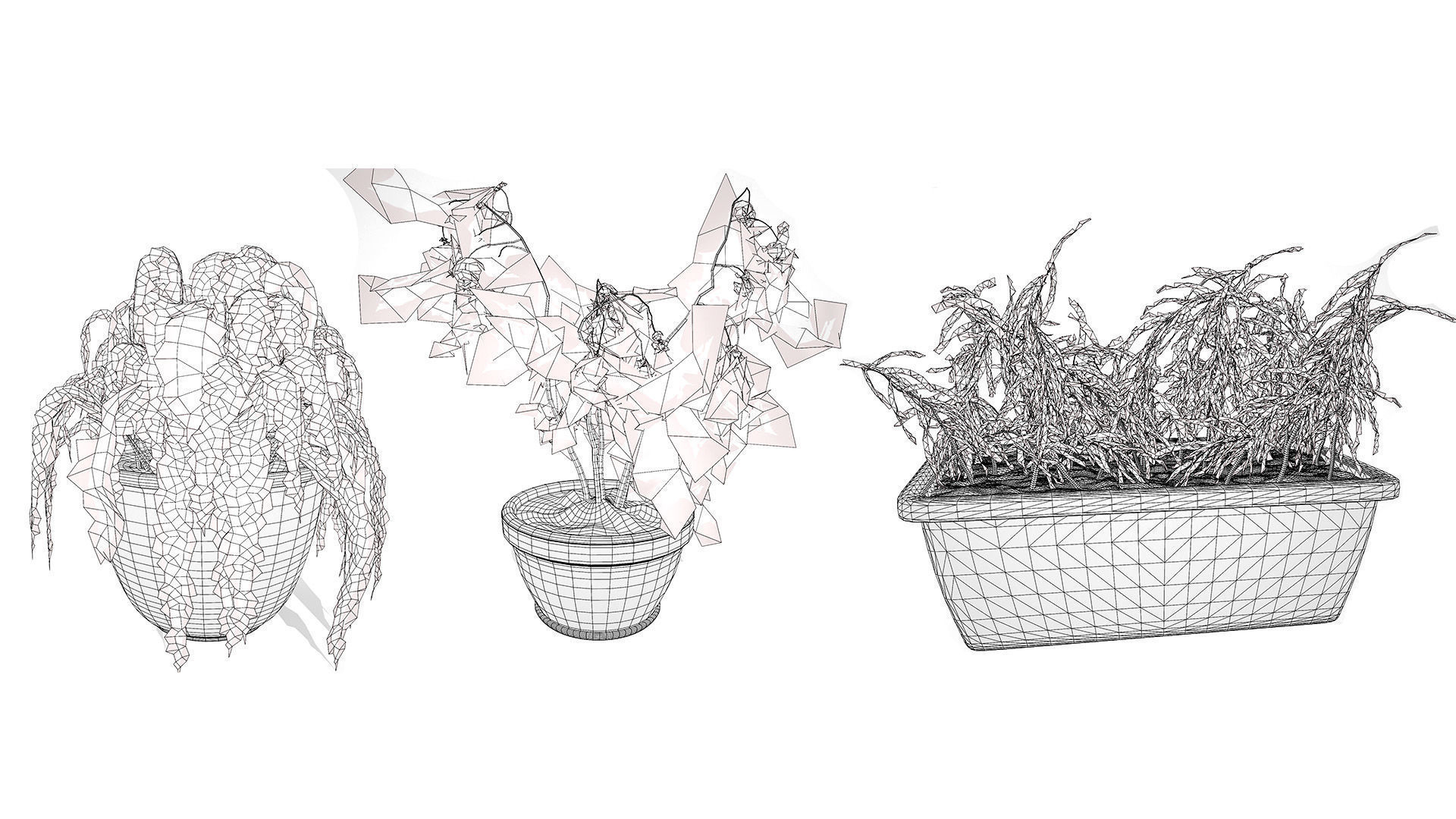 Dead Plant 3D Collection Low-poly 3D model_10