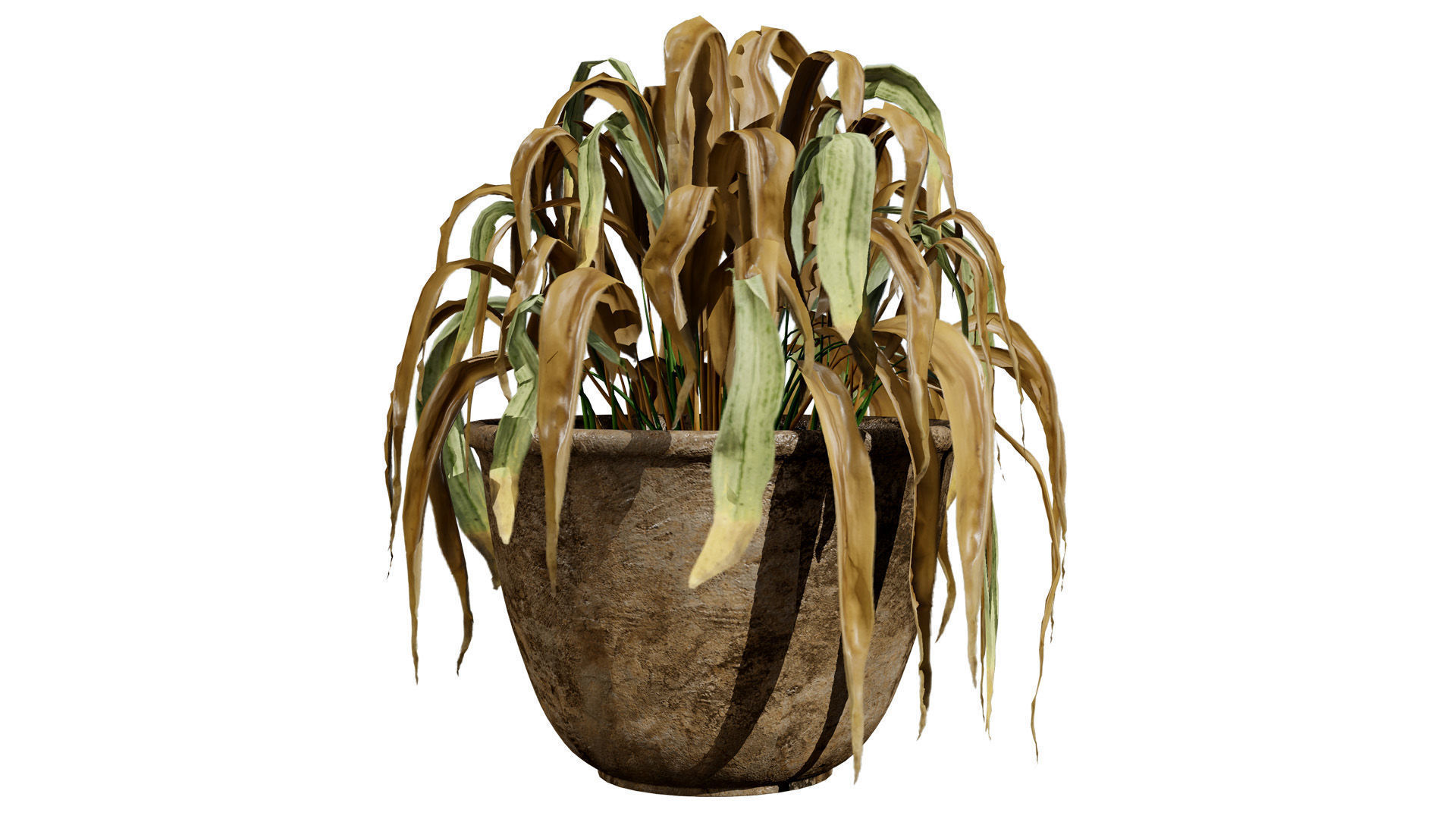 Dead Plant 3D Collection Low-poly 3D model_3