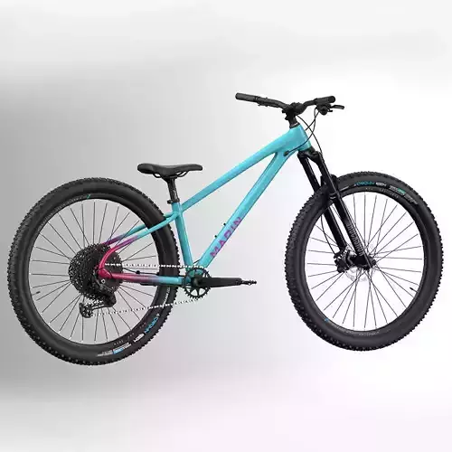 MTB hardtail BluePurple