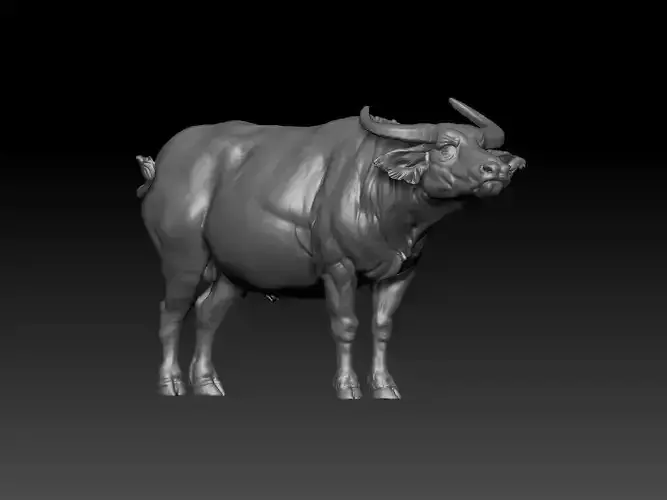 Buffalo Animal asian  3D print model