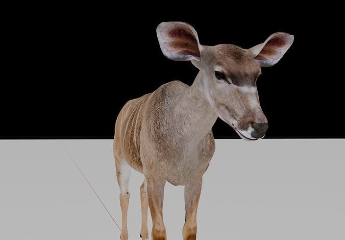 TragelaphusStrepsiceros deer Low-poly 3D model