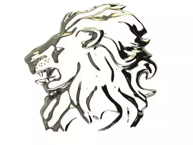 Head of lion