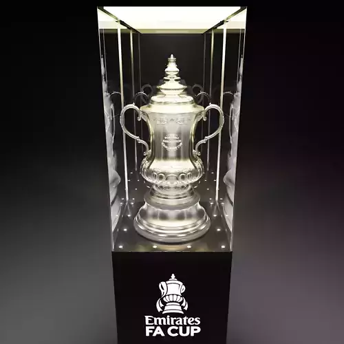FA CUP TROPHY