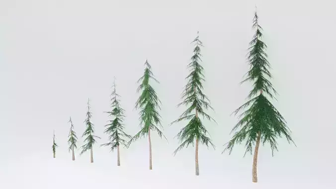 Game-Ready Stylized Pine Pack