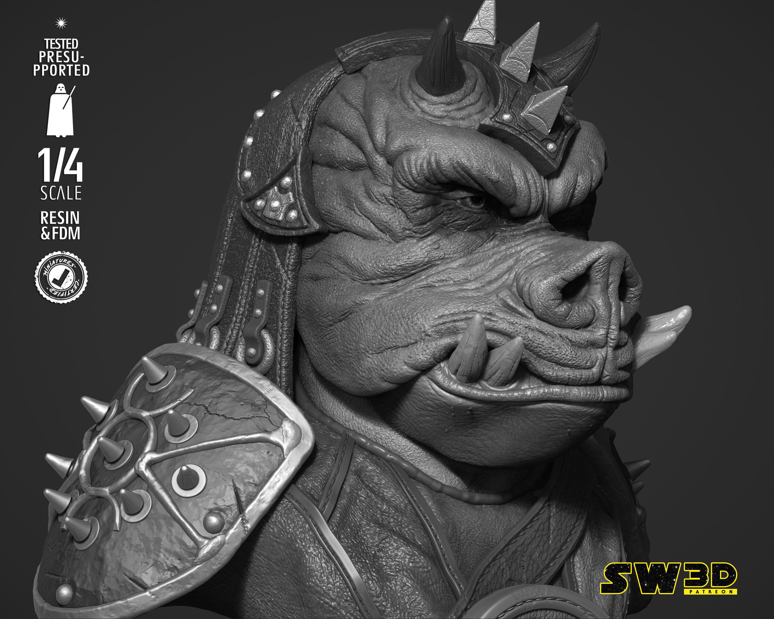 STAR WARS Gamorrean Bust 3D print model_13
