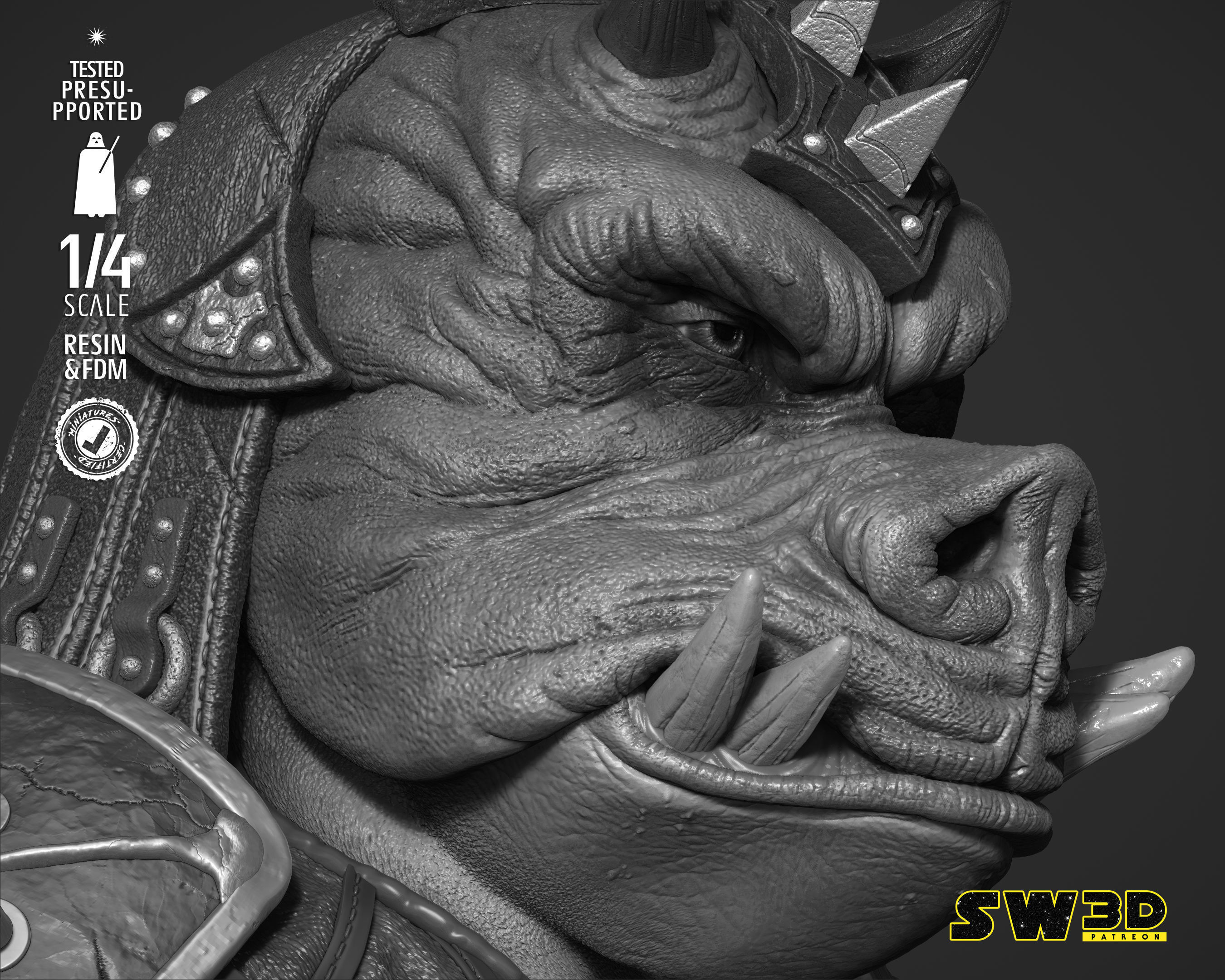 STAR WARS Gamorrean Bust 3D print model_17