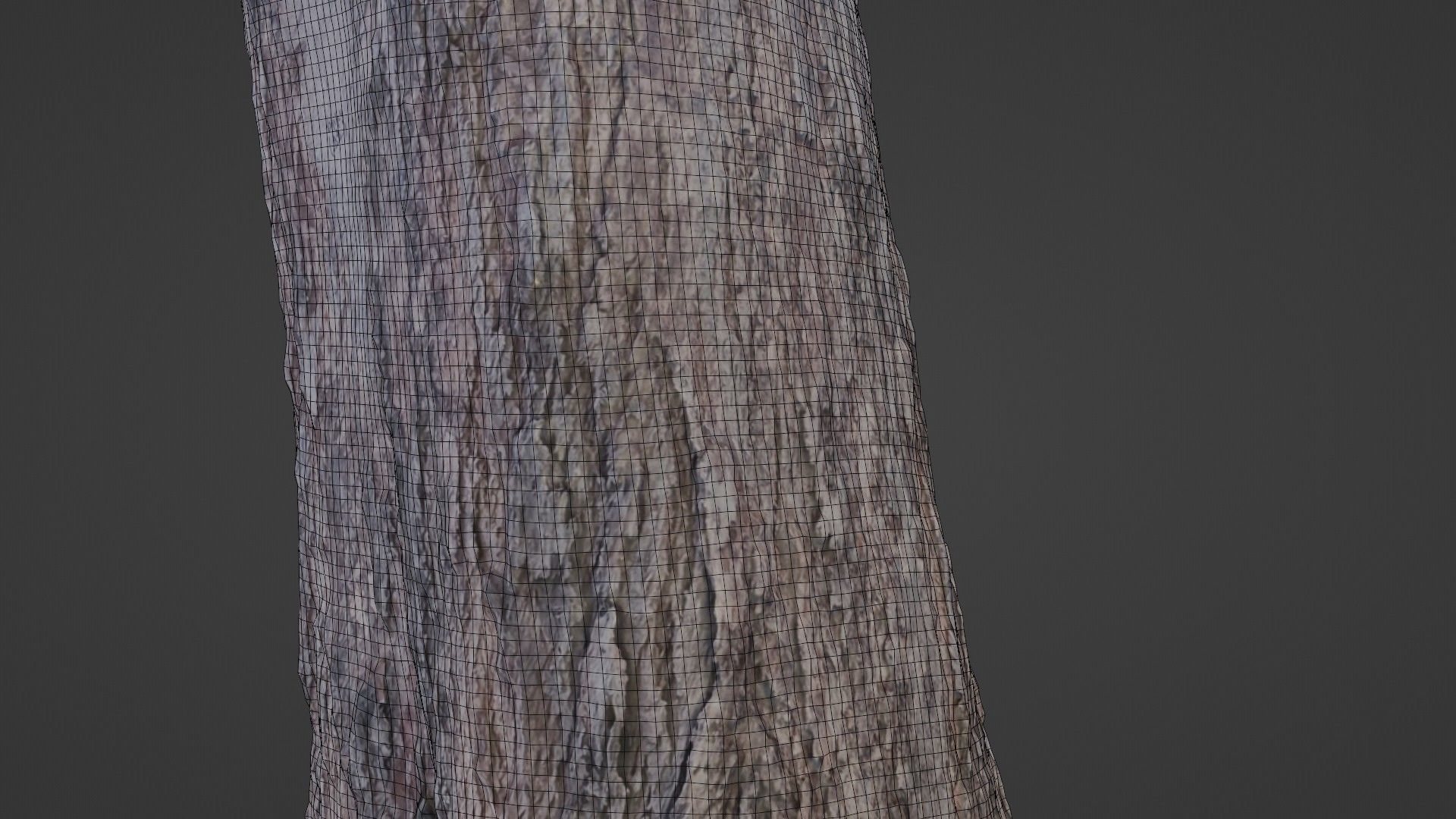 Trunk Scan 8k Low-poly 3D model_4