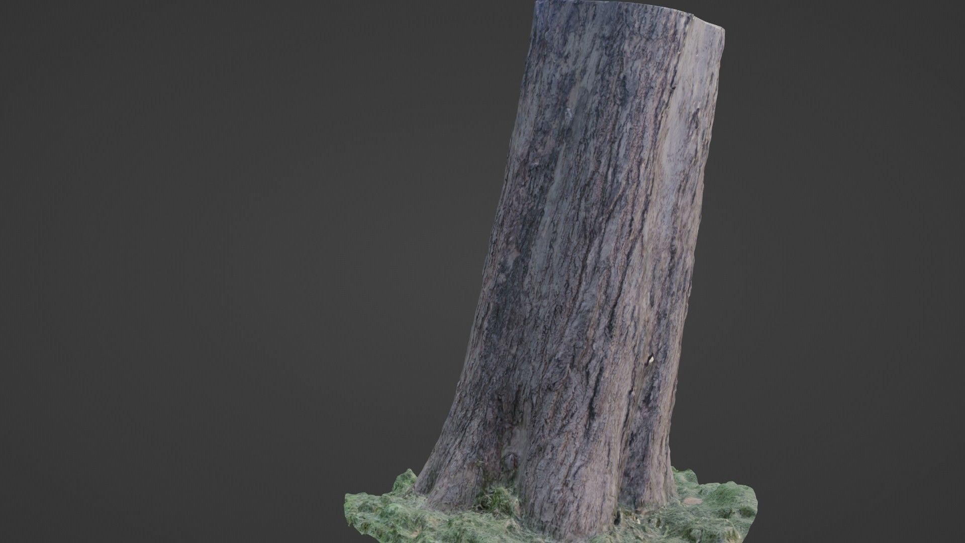Trunk Scan 8k Low-poly 3D model_6