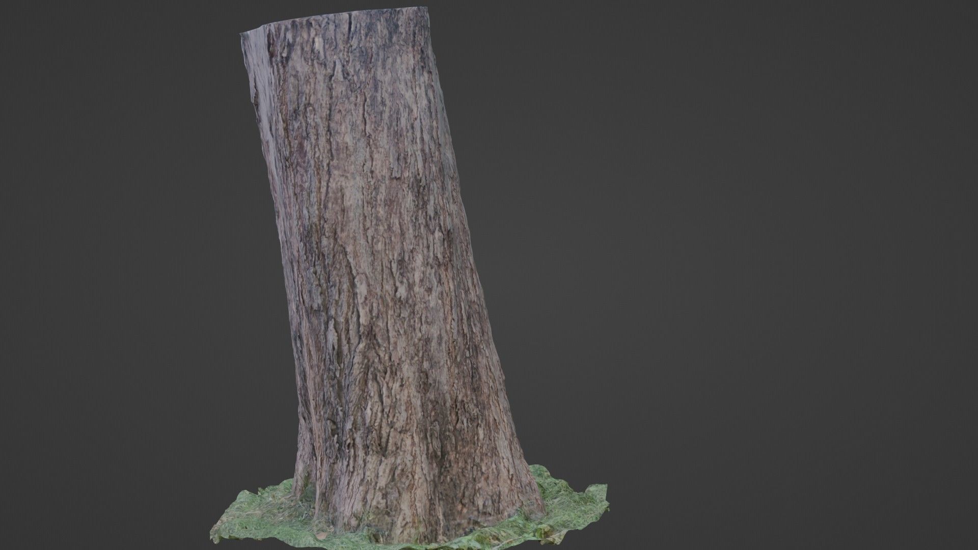 Trunk Scan 8k Low-poly 3D model_5