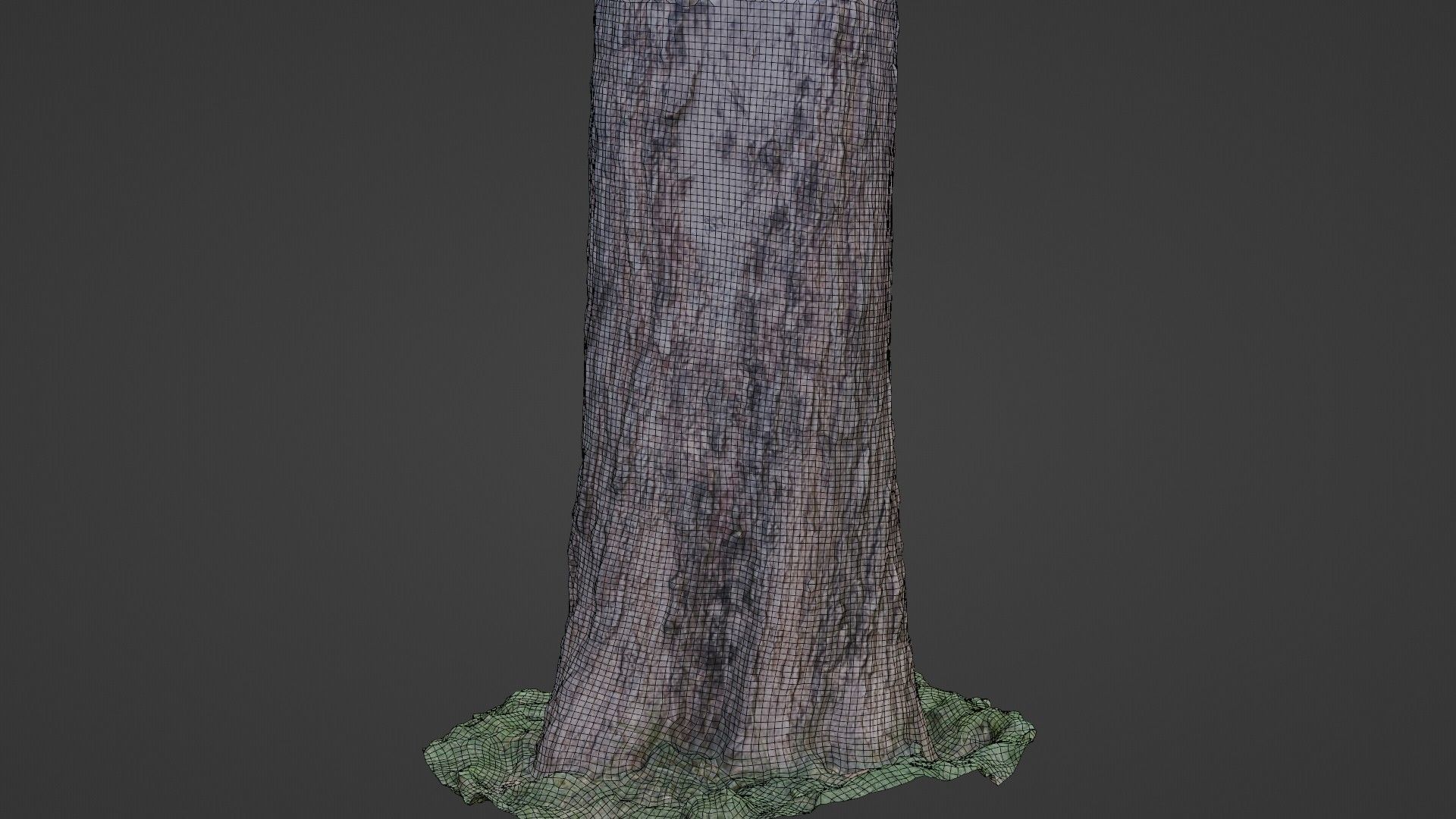Trunk Scan 8k Low-poly 3D model_2