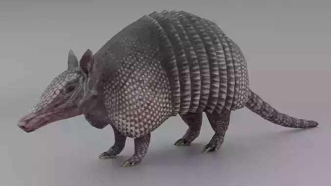 Armadillo Low-poly 3D model