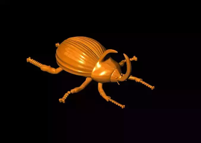 beetle 3D