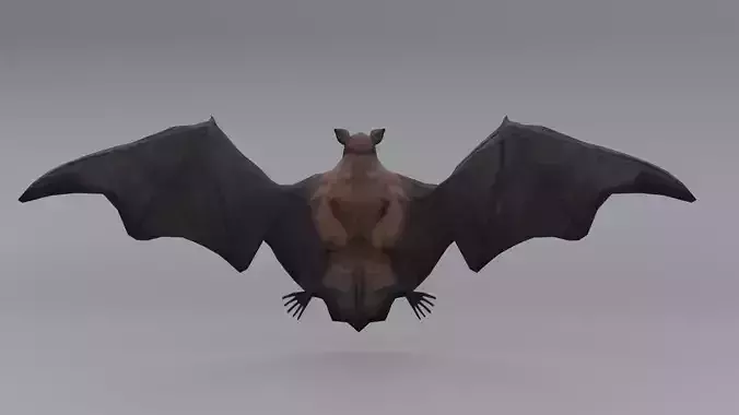 Lowpoly Bat