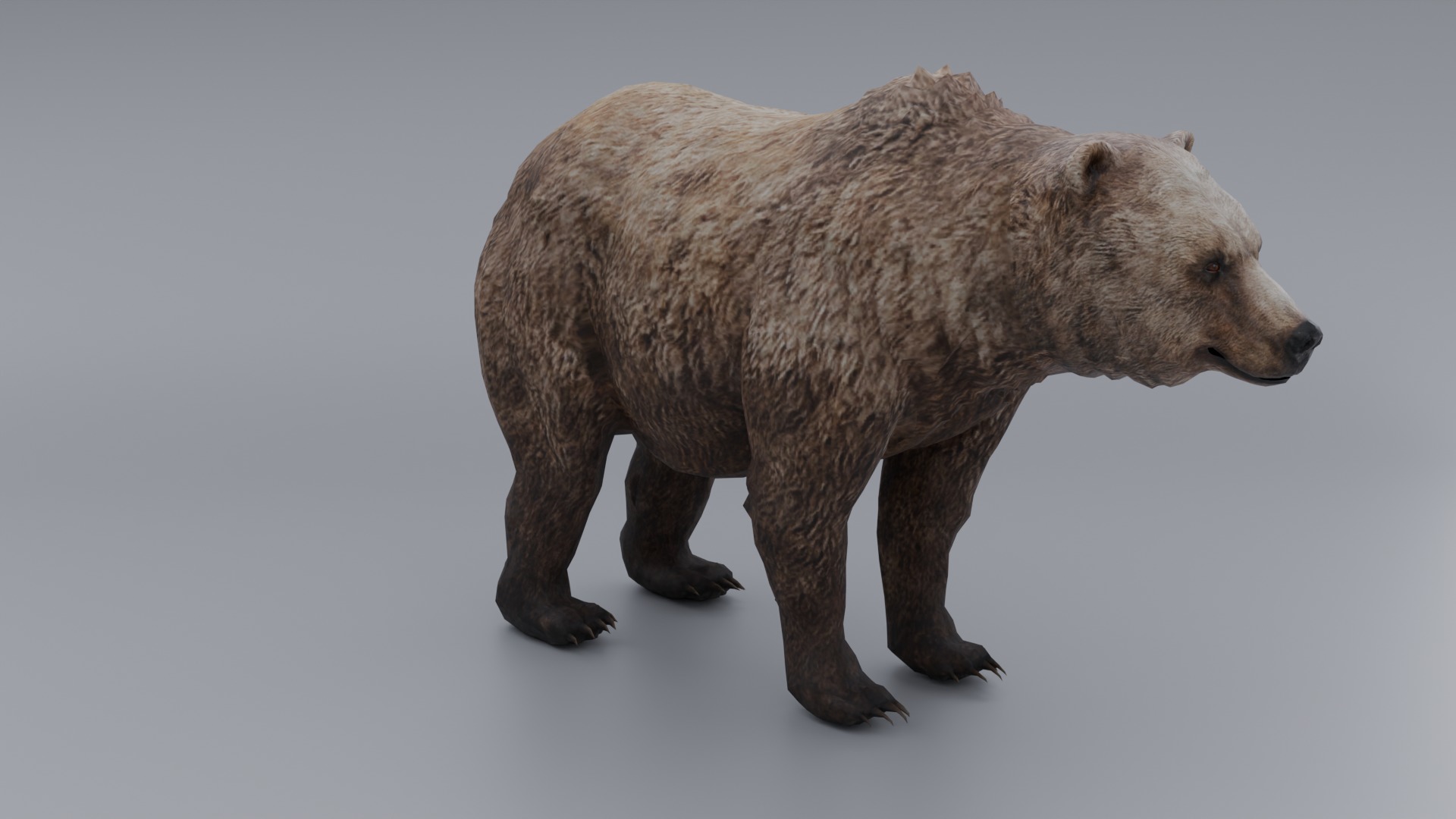 lowpoly Bear Low-poly 3D model_2