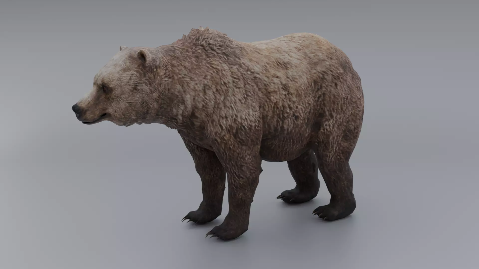 lowpoly Bear Low-poly 3D model_0