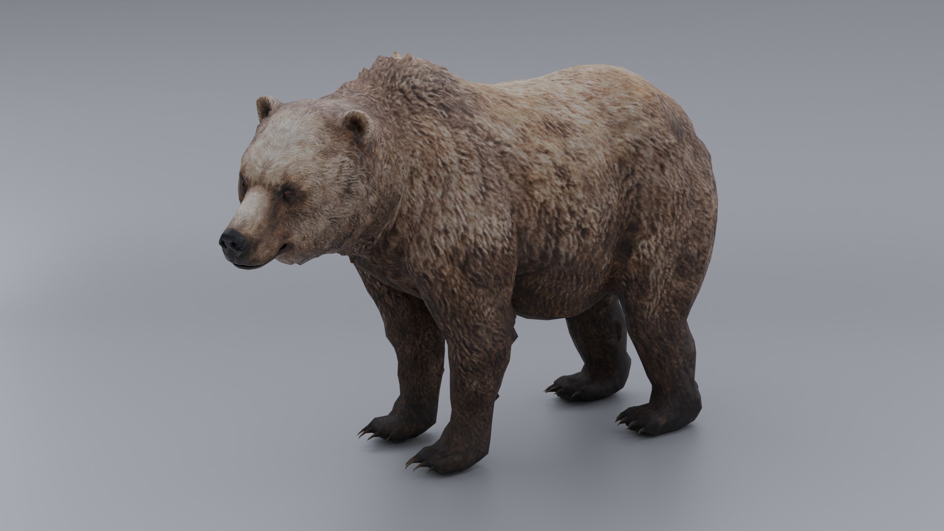 lowpoly Bear Low-poly 3D model_4