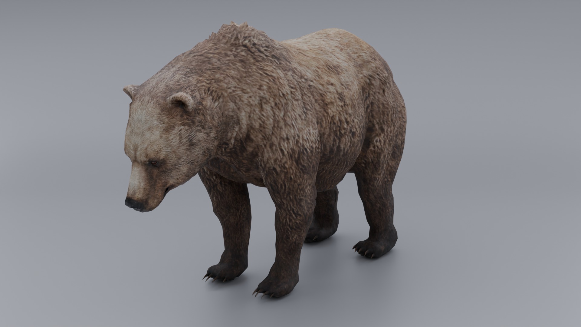 lowpoly Bear Low-poly 3D model_1