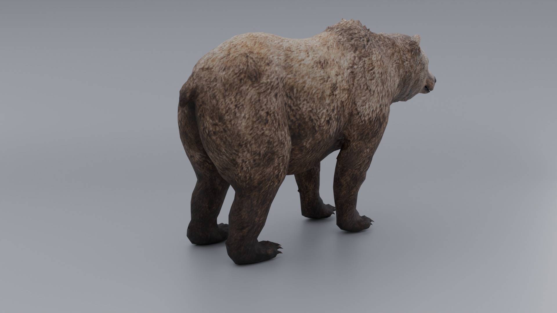 lowpoly Bear Low-poly 3D model_3