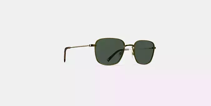 Blount Sunglasses in Polished Gold