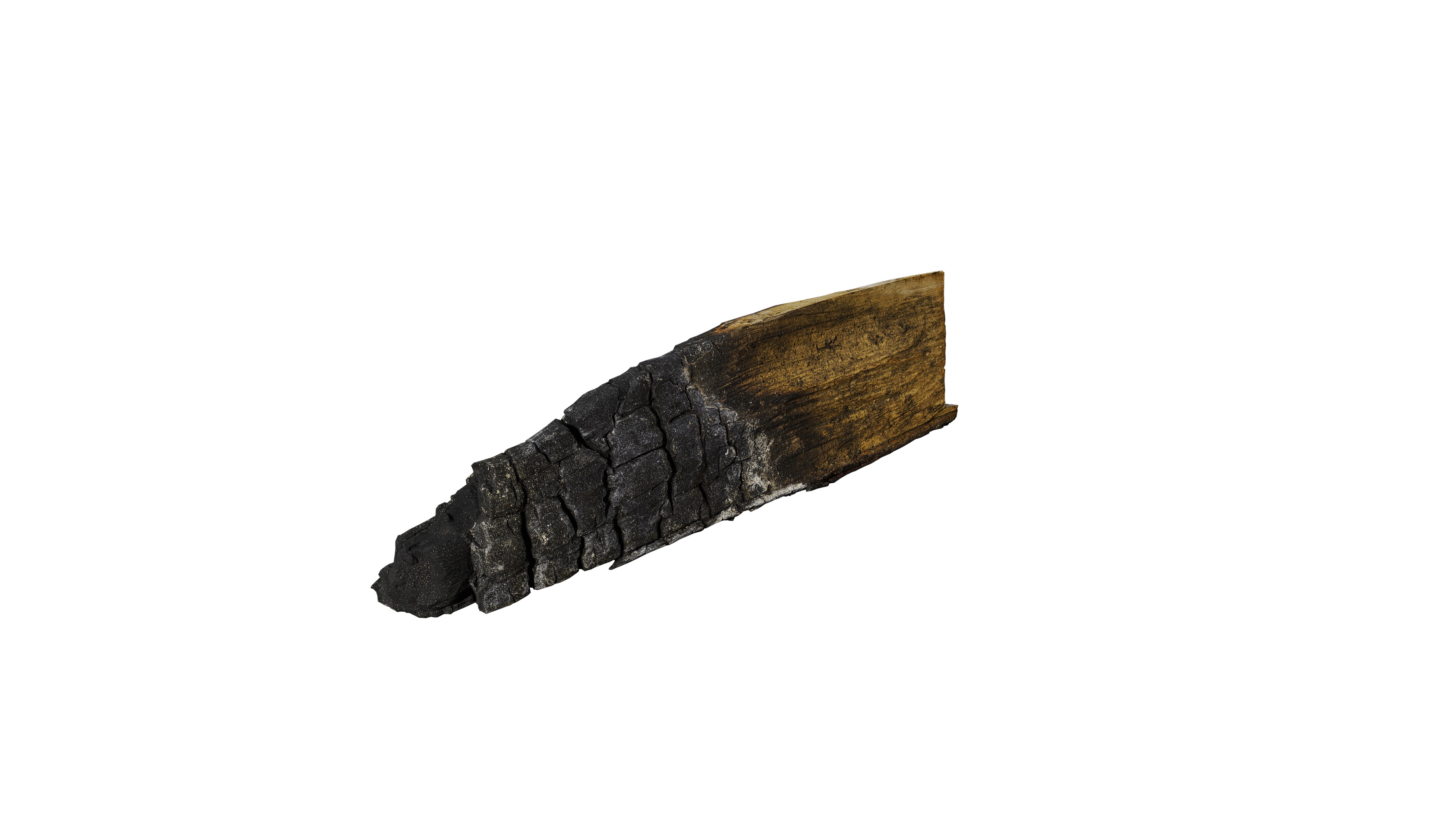 Burnt Firewood Free low-poly 3D model_9