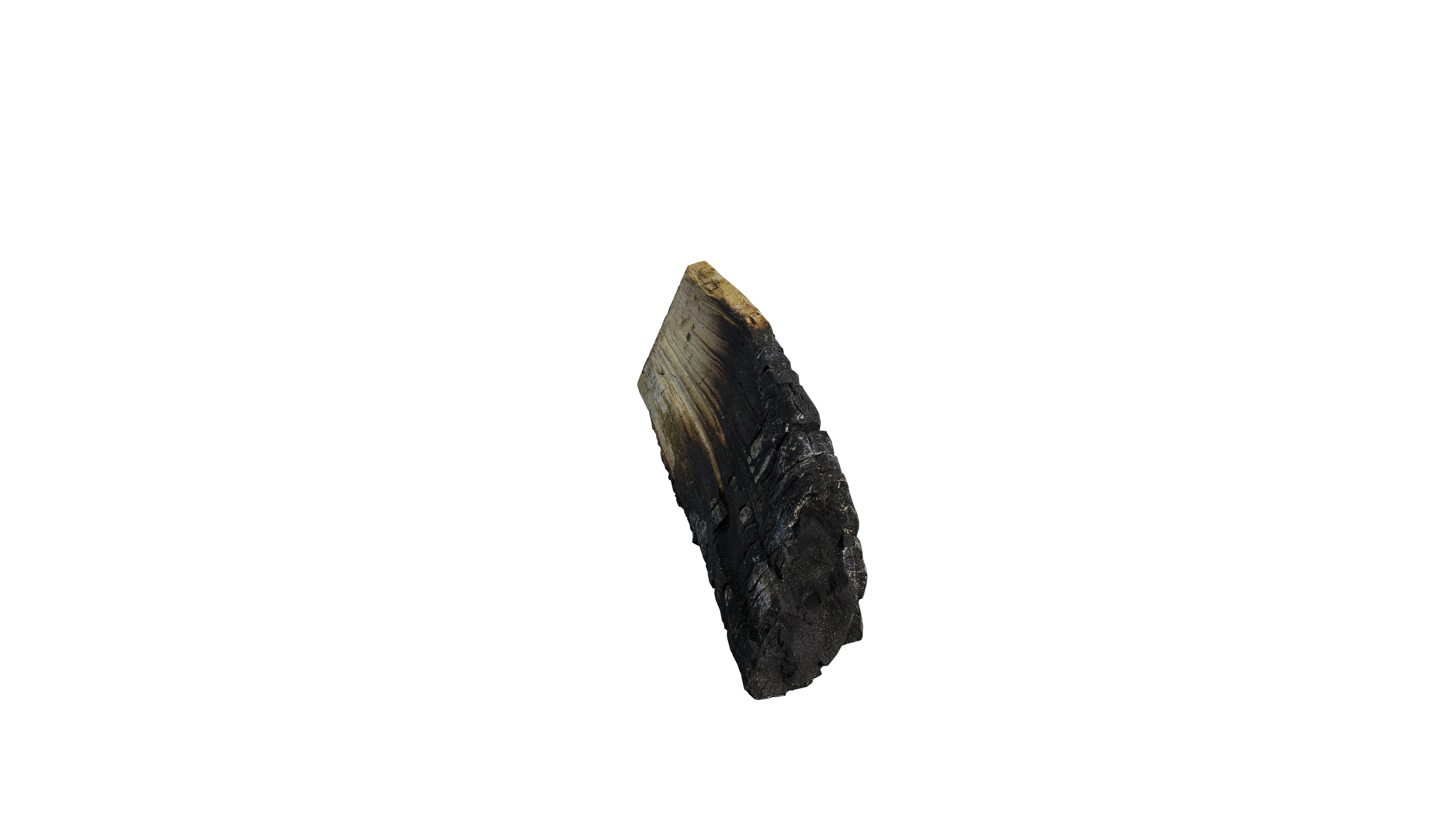 Burnt Firewood Free low-poly 3D model_1