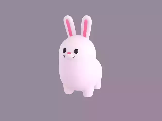 Bunny Character