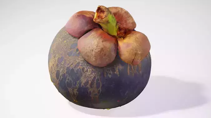 Mangosteen - Photorealistic Scan