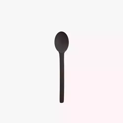 Medieval Spoon V12