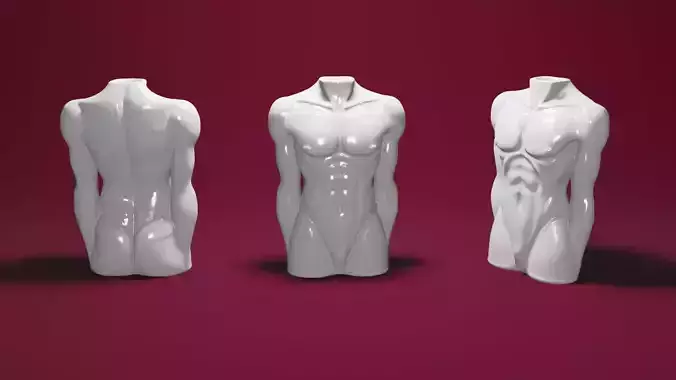 Elegant Man Body Vase  3D Printable Decorative
