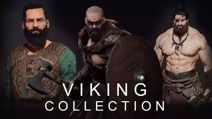 Viking Warriors Collection - 3 Unique Character Models Pack 