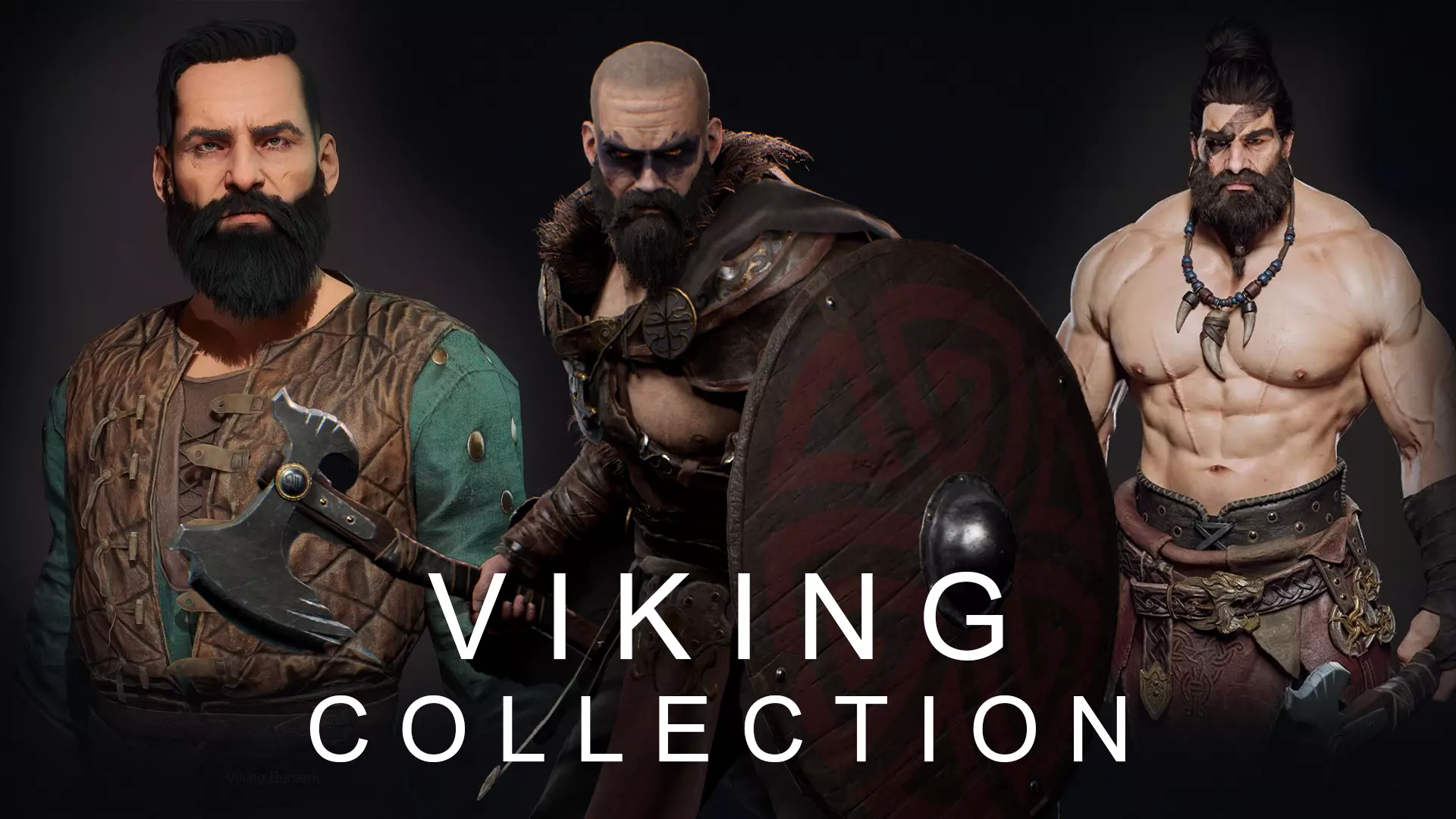 Viking Warriors Collection - 3 Unique Character Models Pack _0