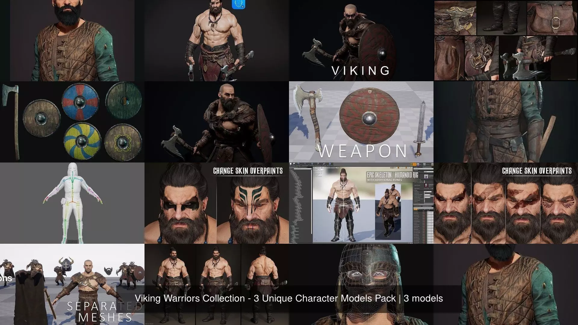 Viking Warriors Collection - 3 Unique Character Models Pack _4