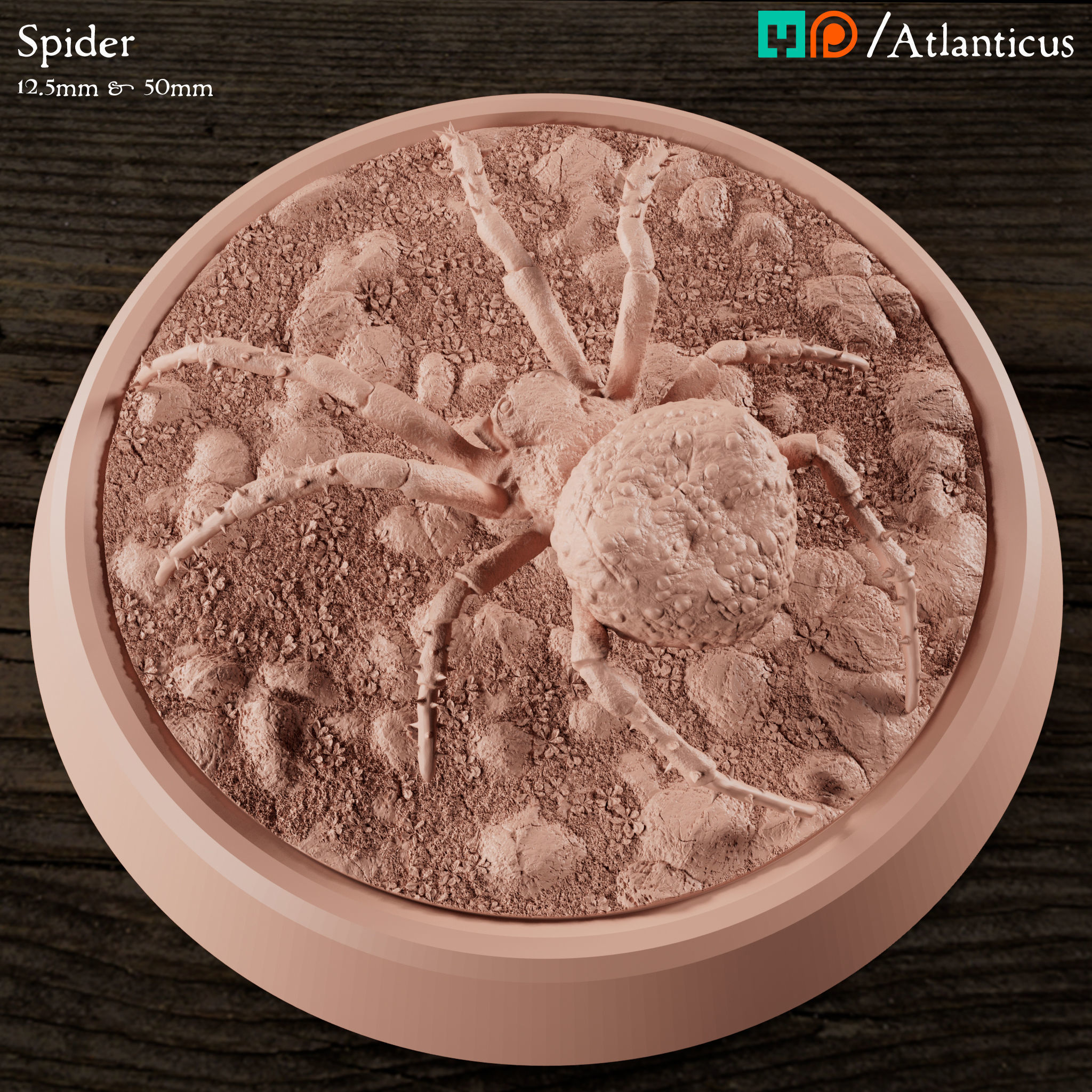 Spider and Giant Spider 3D print model_6