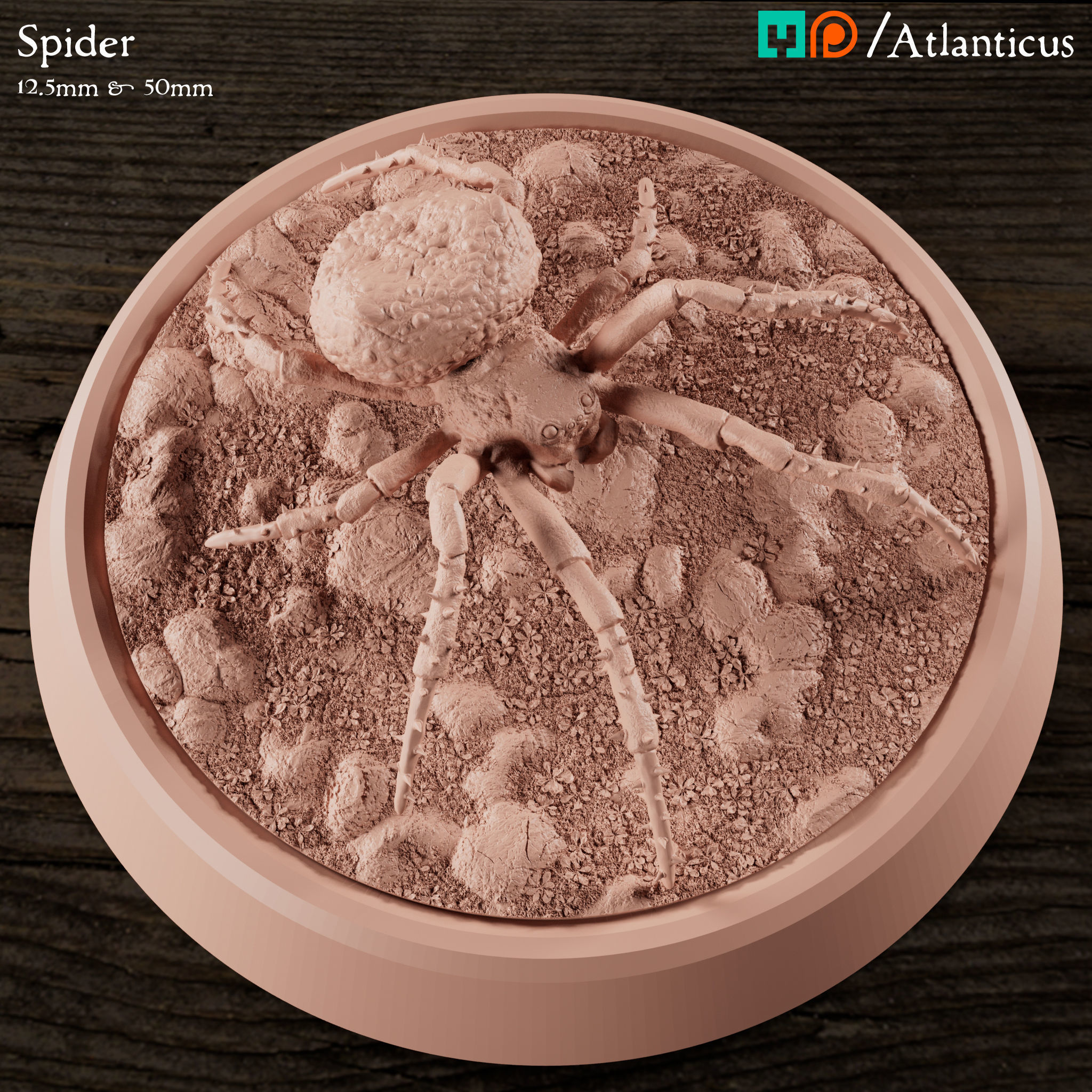 Spider and Giant Spider 3D print model_2