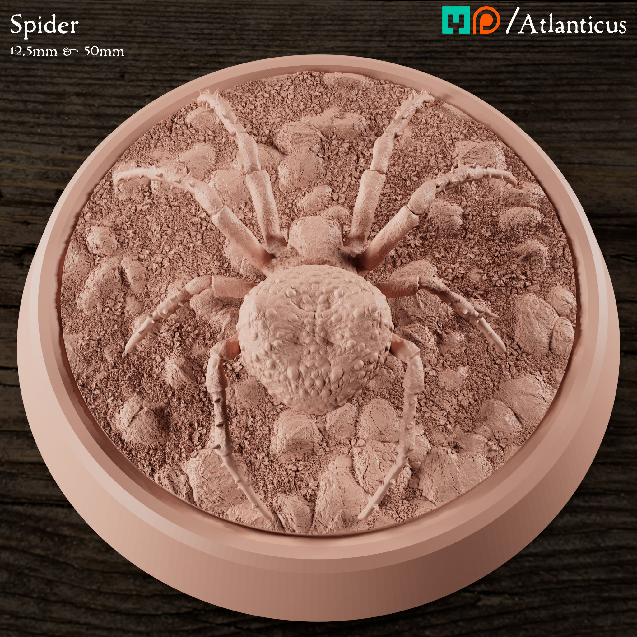 Spider and Giant Spider 3D print model_5