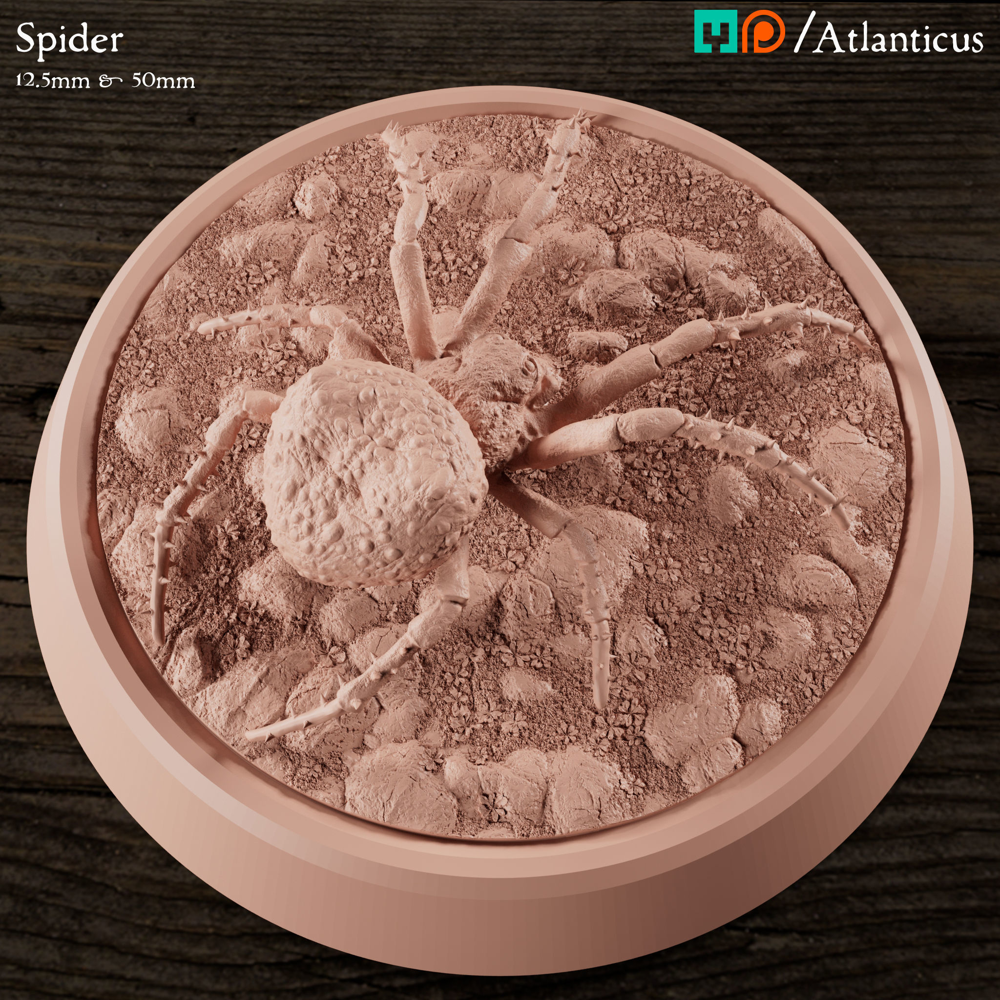 Spider and Giant Spider 3D print model_4