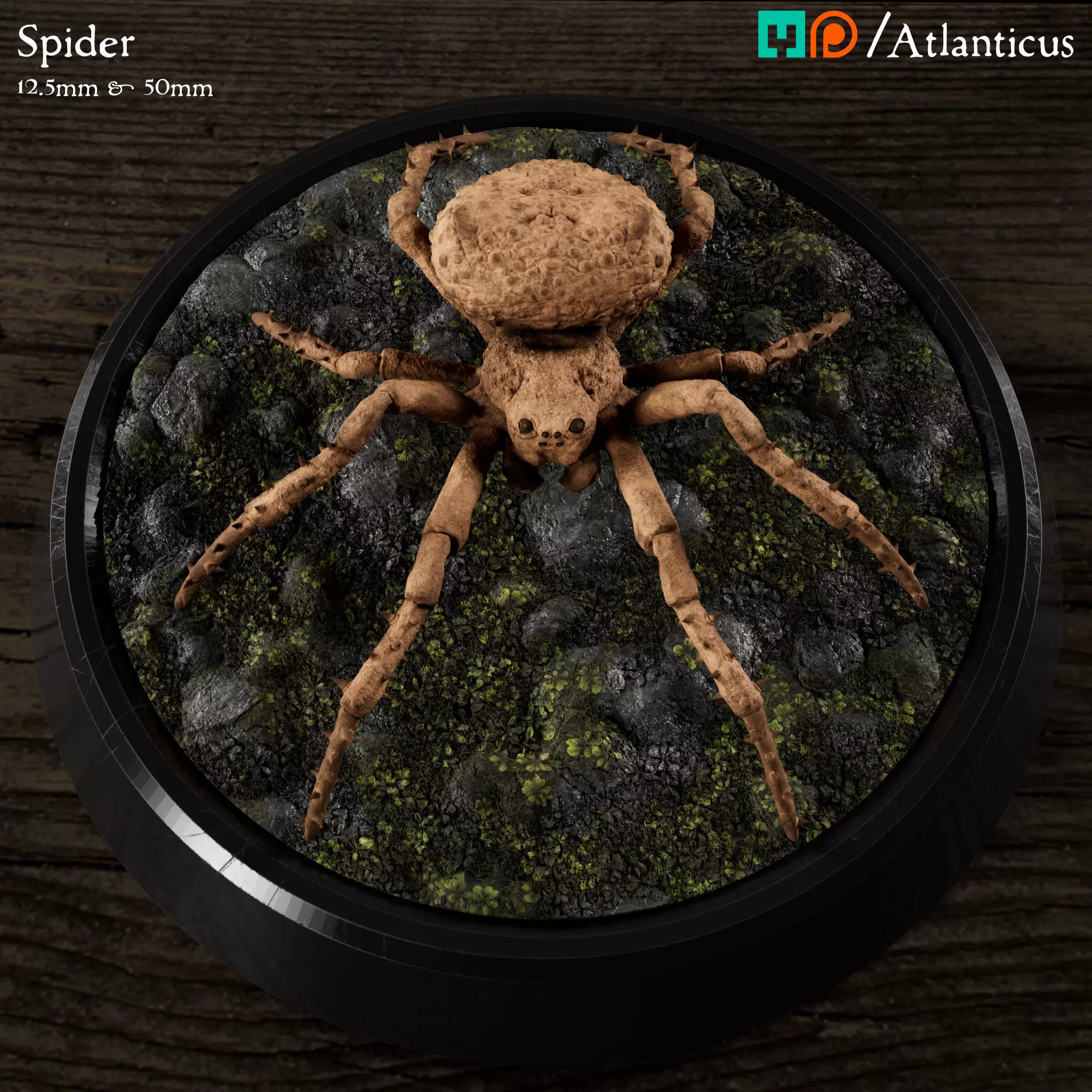Spider and Giant Spider 3D print model_0