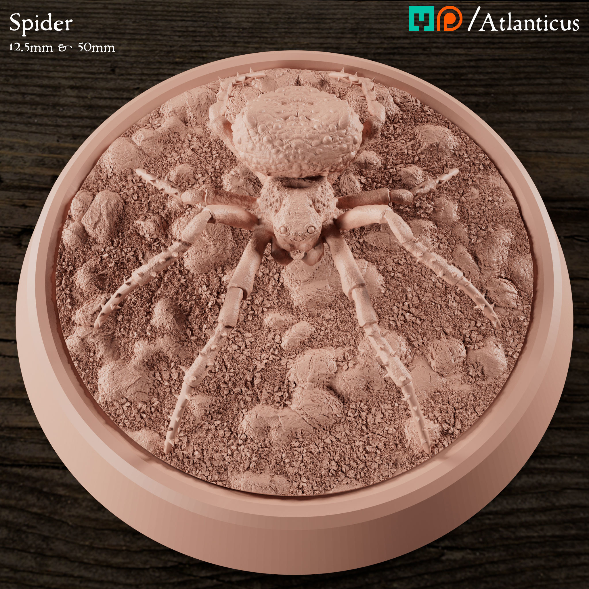 Spider and Giant Spider 3D print model_1