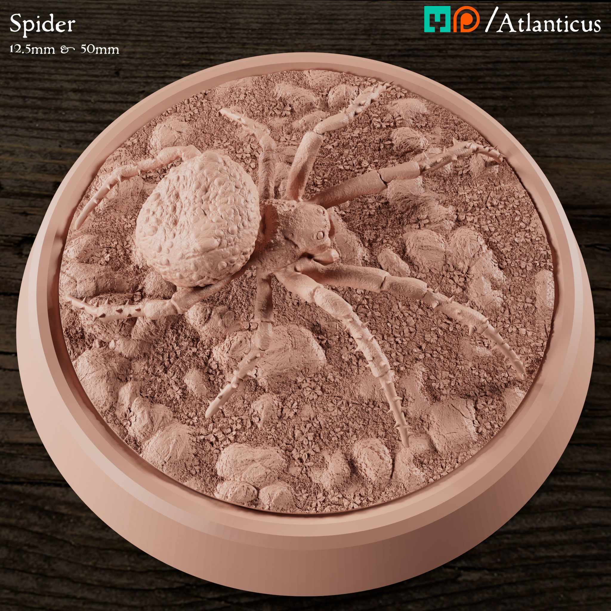 Spider and Giant Spider 3D print model_3