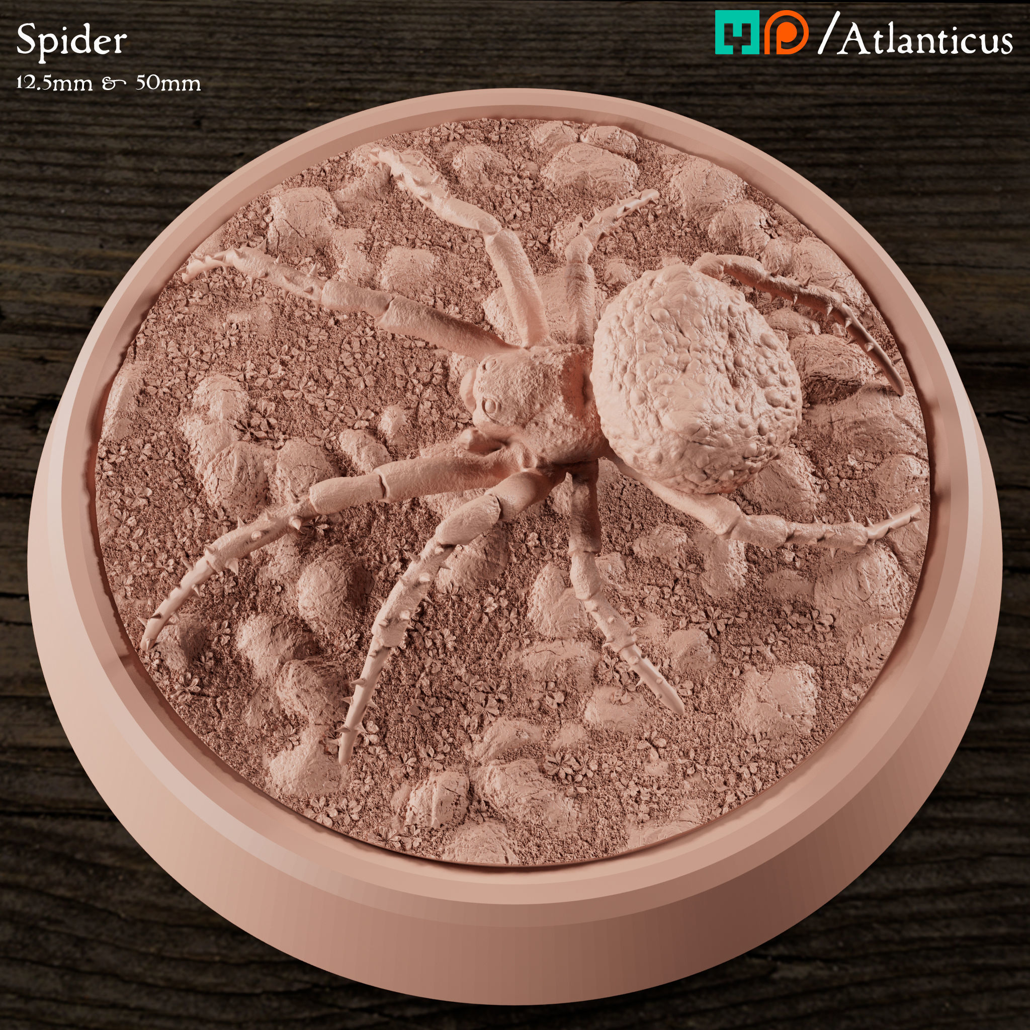 Spider and Giant Spider 3D print model_7