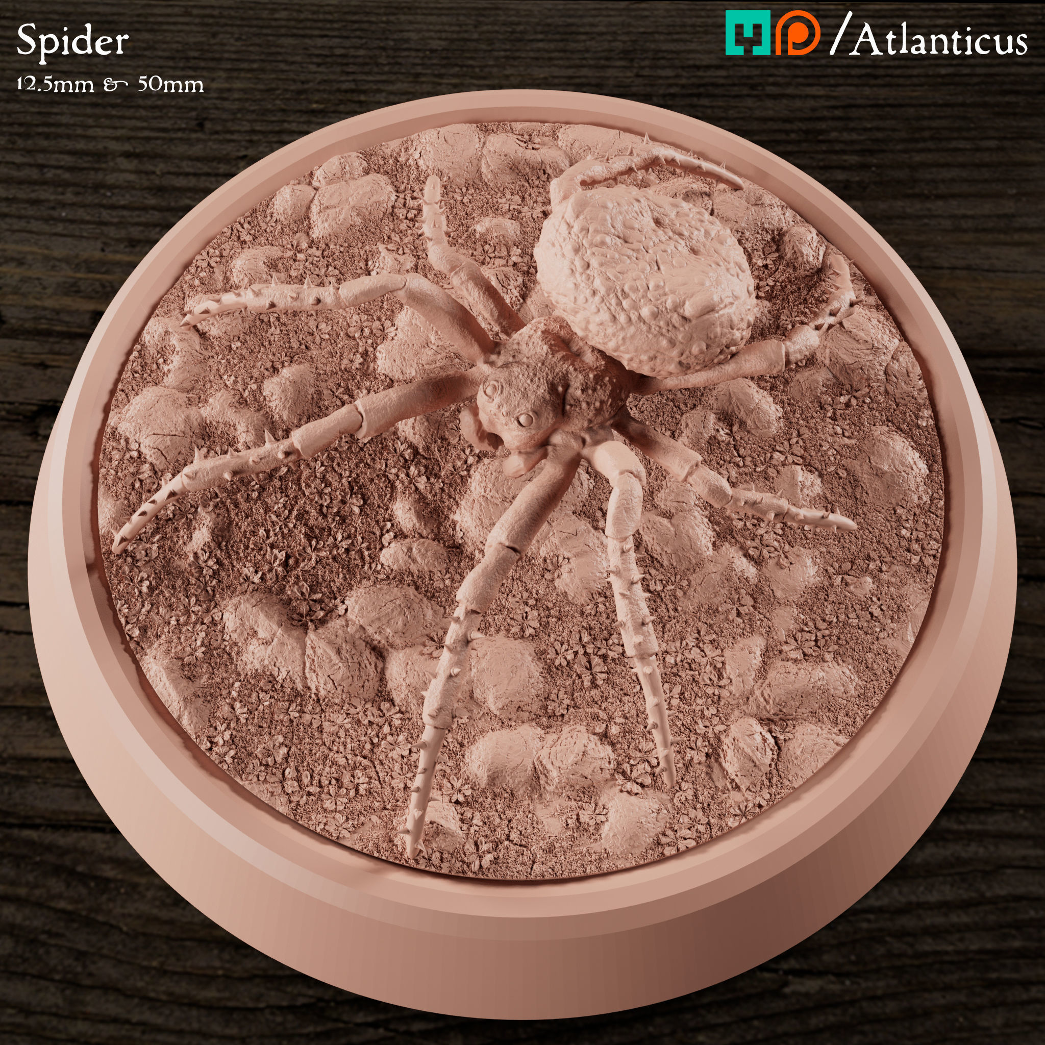 Spider and Giant Spider 3D print model_8