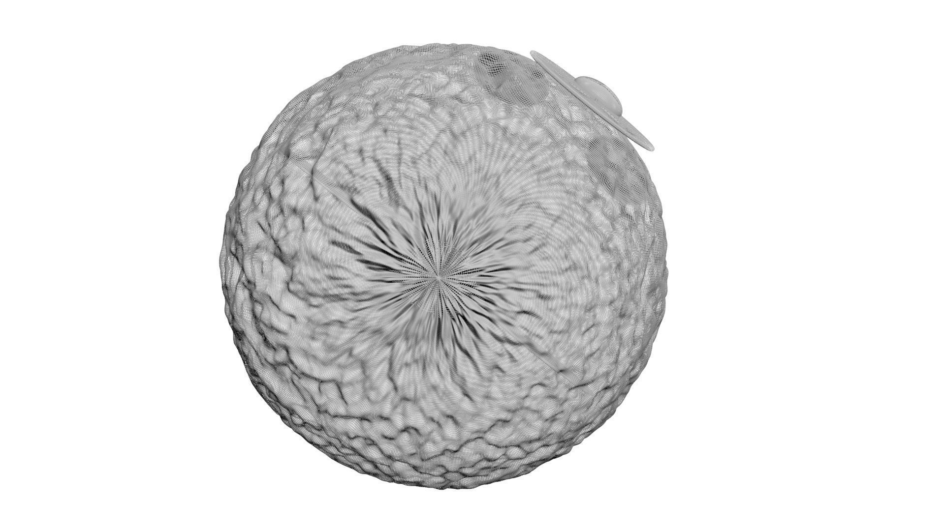 Bear Ice Cream 3D model_23